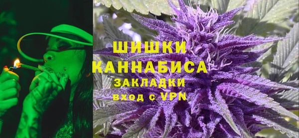 прущие грибы Заволжье
