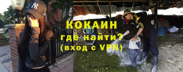 прущие грибы Заволжье