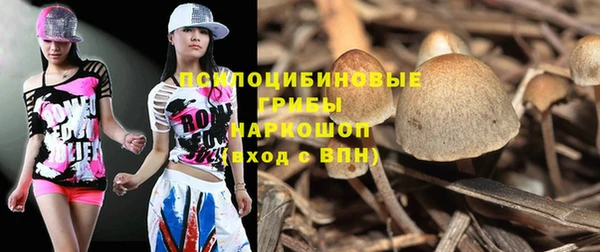 бошки Заводоуковск