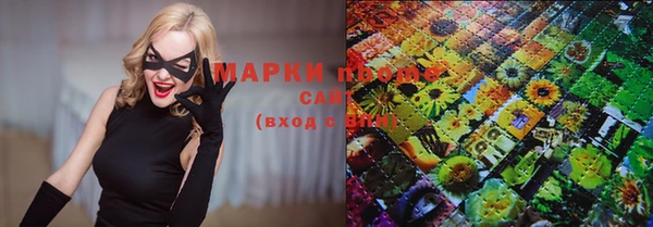 прущие грибы Заволжье