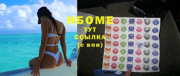 прущие грибы Заволжье