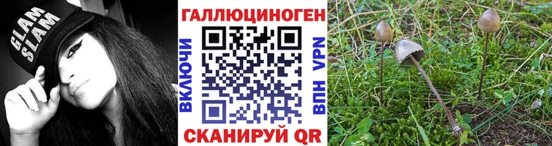 Купить  Магнитогорск  Галлюциногенные грибы MAGIC MUSHROOMS 