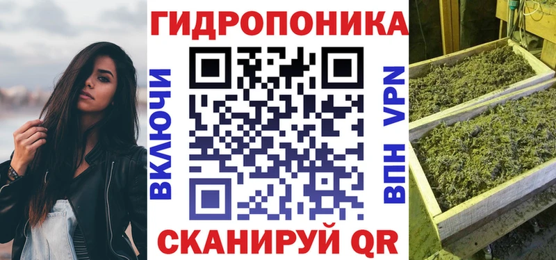 Бошки Шишки индика  Купить закладки  Магнитогорск 